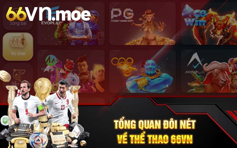 Tổng quan đôi nét về thể thao 66VN