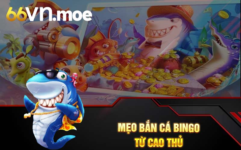 Mẹo bắn cá bingo từ cao thủ 