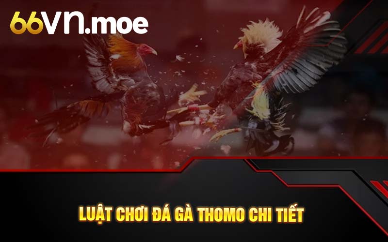 Luật chơi đá gà thomo chi tiết 