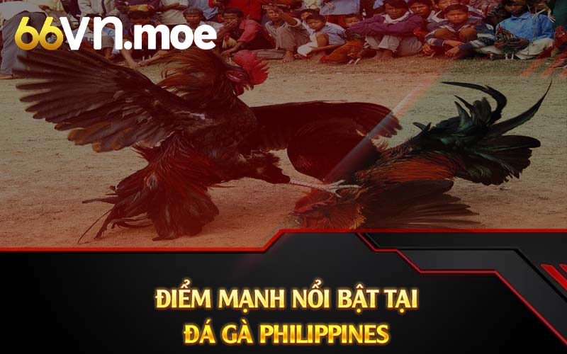 Điểm mạnh nổi bật tại đá gà Philippines 